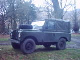 Yeti in the trees