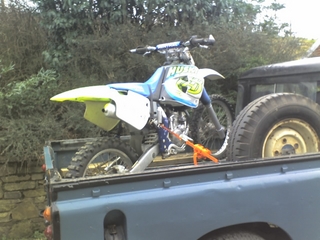 husky 01